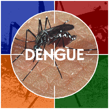 http://naturalunseenhazards.files.wordpress.com/2009/12/dengue_gd.gif